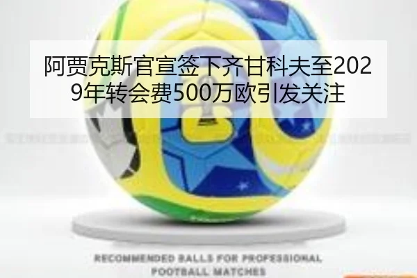 阿贾克斯官宣签下齐甘科夫至2029年转会费500万欧引发关注 | kaiyun